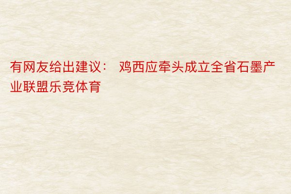 有网友给出建议： 鸡西应牵头成立全省石墨产业联盟乐竞体育